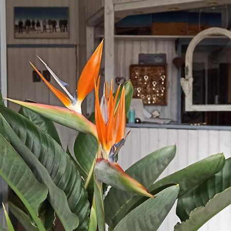 B&B Fischerstueble - Adults Only Hagnau Eksteriør bilde